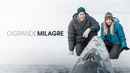 Big Miracle Poster 2