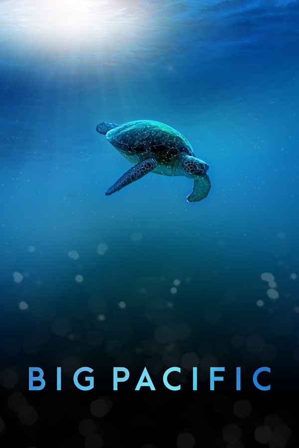 Big Pacific Poster 1