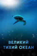 Big Pacific Poster 3