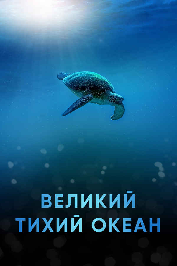 Big Pacific Poster 3