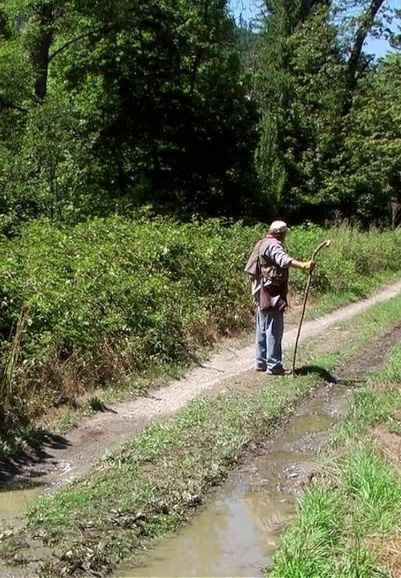 Bigfoot County