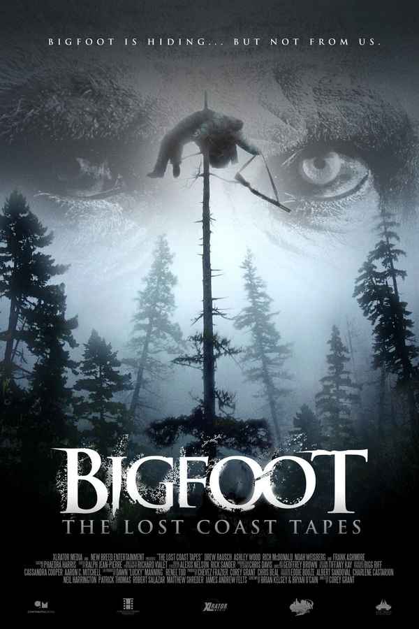 Bigfoot: The Lost Coast Tapes Poster 6
