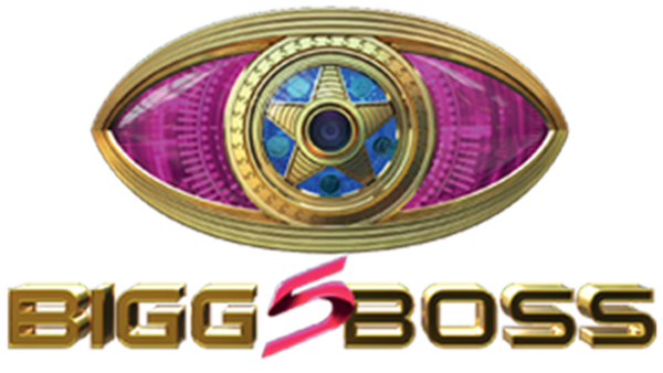 Bigg Boss Season 19: Gharwalon Ki Sarkaar Poster 7