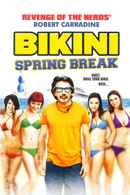 Bikini Spring Break Poster 3