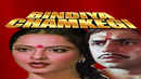 Bindiya Chamkegi Poster 4