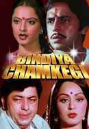 Bindiya Chamkegi Poster 6