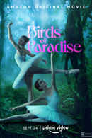 Birds of Paradise Poster 5