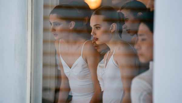 Birds of Paradise Poster 2