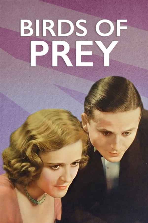 Birds of Prey Poster 6