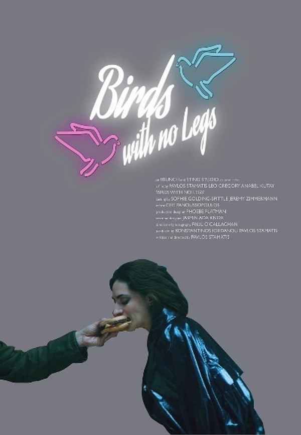 Birds with no legs Poster 2