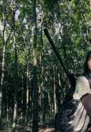 Birdshot Poster 4