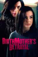 Birthmother's Betrayal Poster 4