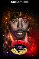 Bitchin': The Sound and Fury of Rick James Poster 6