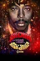 Bitchin': The Sound and Fury of Rick James Poster 3