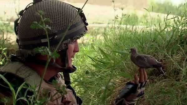 Bitter Lake Poster 4