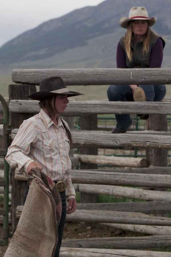 Bitterbrush Poster 6