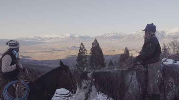 Bitterbrush Poster 1