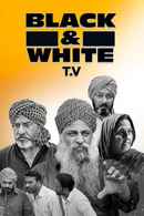 Black And White T.V. Poster 6