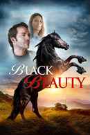 Black Beauty Poster 4