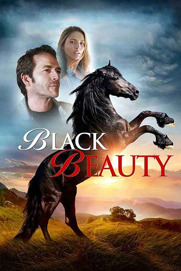 Black Beauty Poster 4