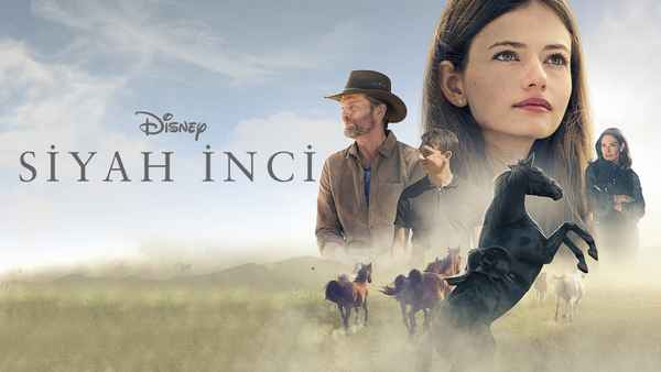 Black Beauty Poster 3