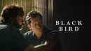Black Bird Poster 2
