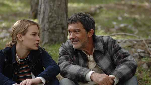 Black Butterfly Poster 4