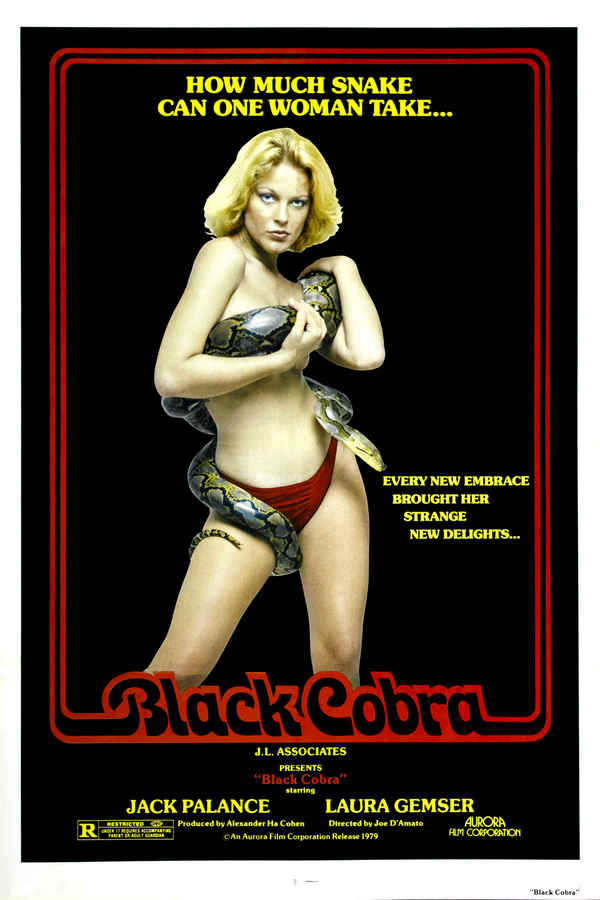 Black Cobra Poster 5