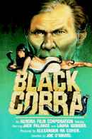 Black Cobra Poster 1