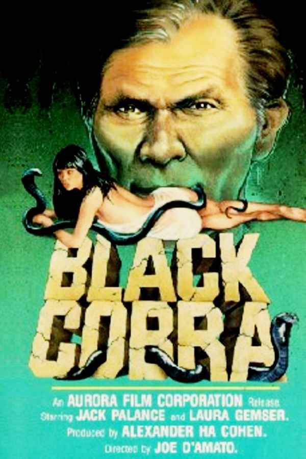 Black Cobra Poster 1