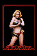 Black Cobra Poster 3