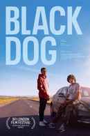 Black Dog Poster 1