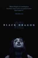 Black Dragon Poster 1