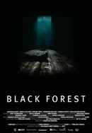 Black Forest Poster 6