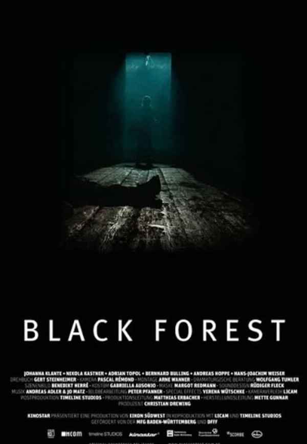 Black Forest Poster 6