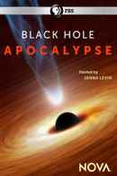 Black Hole Apocalypse Poster 7
