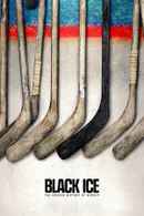 Black Ice Poster 7