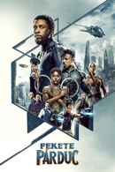 Black Panther Poster 1