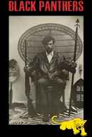 Black Panthers Poster 2