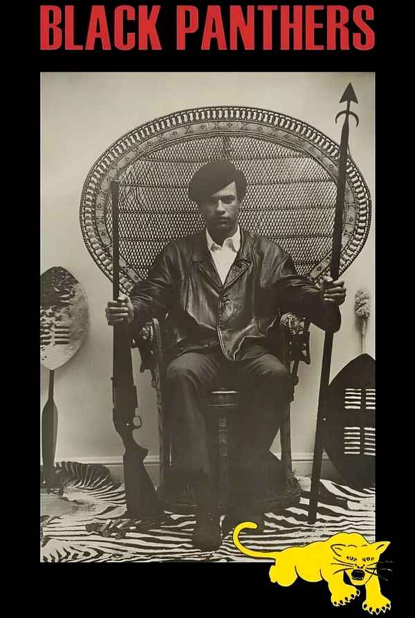 Black Panthers Poster 2