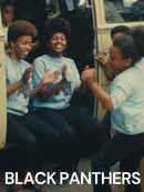 Black Panthers Poster 1