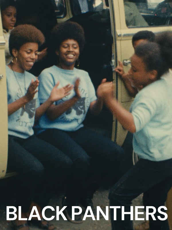 Black Panthers Poster 1