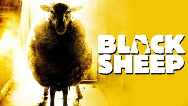 Black Sheep Poster 5