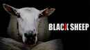 Black Sheep Poster 7