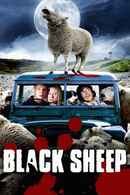 Black Sheep Poster 3