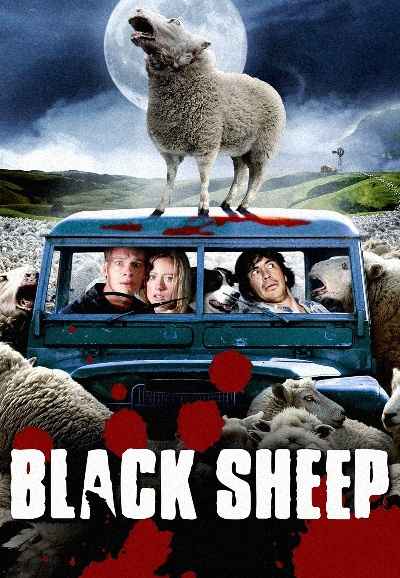 Black Sheep