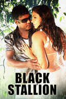 Black Stallion Poster 1