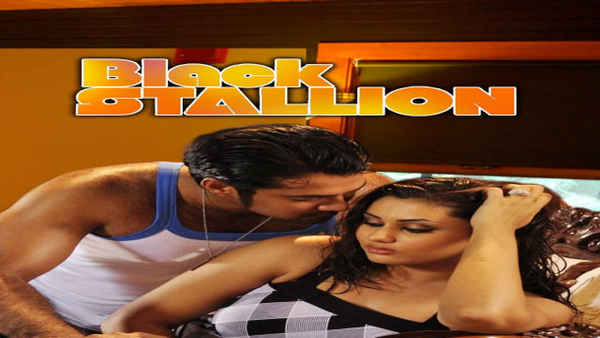 Black Stallion Poster 7