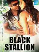 Black Stallion Poster 6