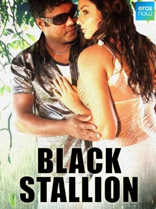 Black Stallion Poster 6